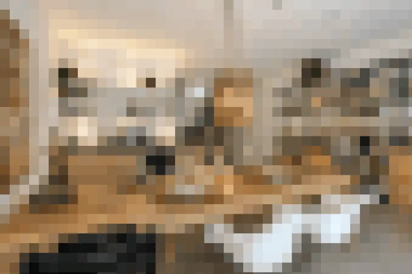 Bilderdijkkade 50 A 8 Amsterdam thumbnail 22