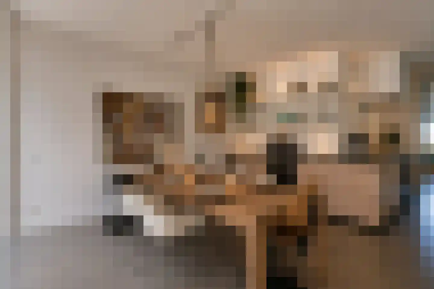 Bilderdijkkade 50 A 8 Amsterdam thumbnail 23