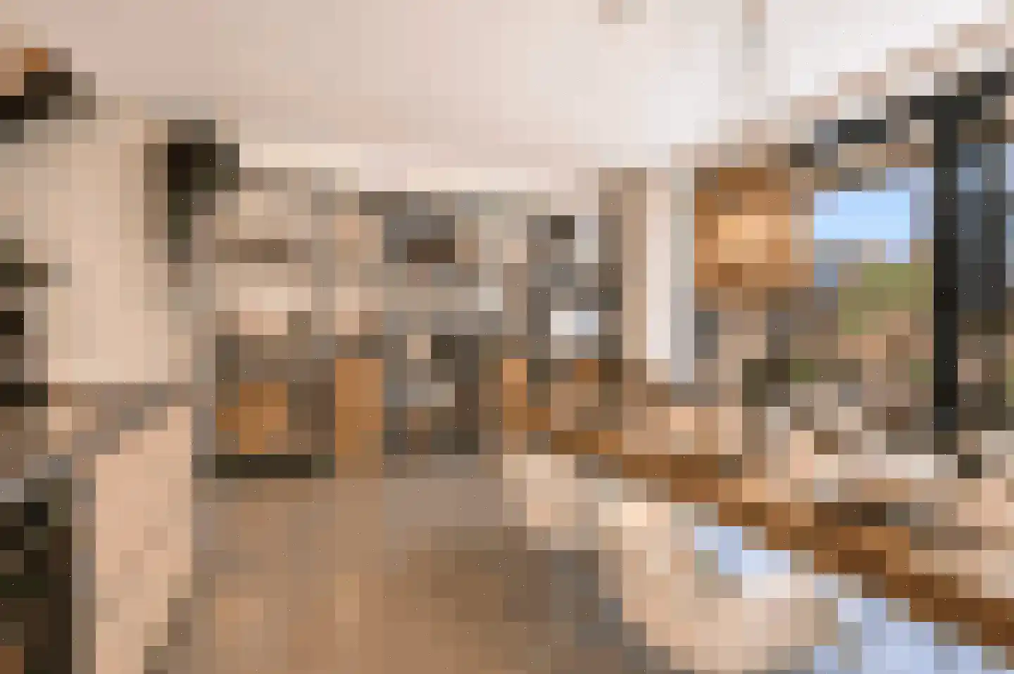 Bilderdijkkade 50 A 8 Amsterdam thumbnail 24