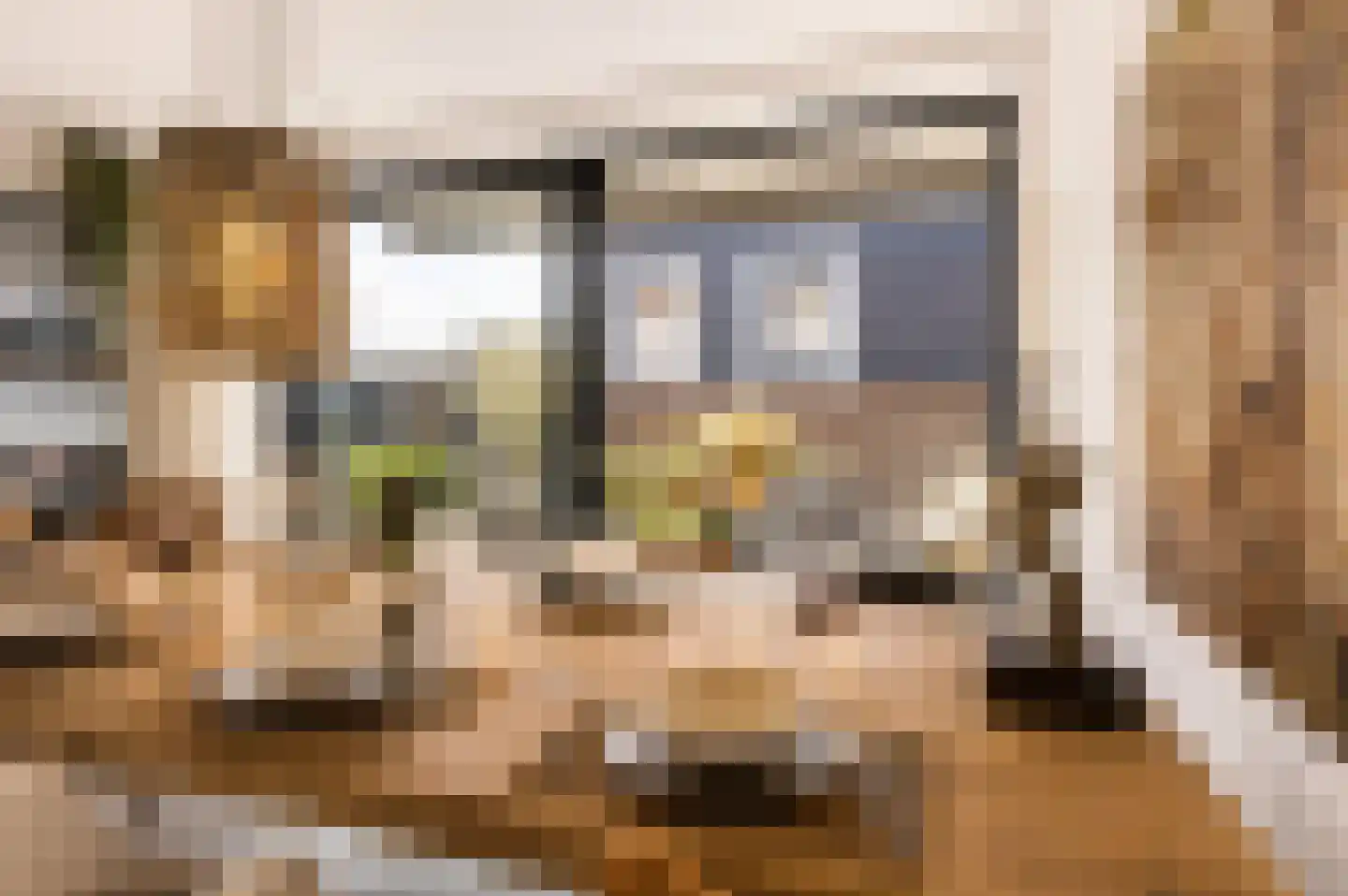 Bilderdijkkade 50 A 8 Amsterdam thumbnail 25