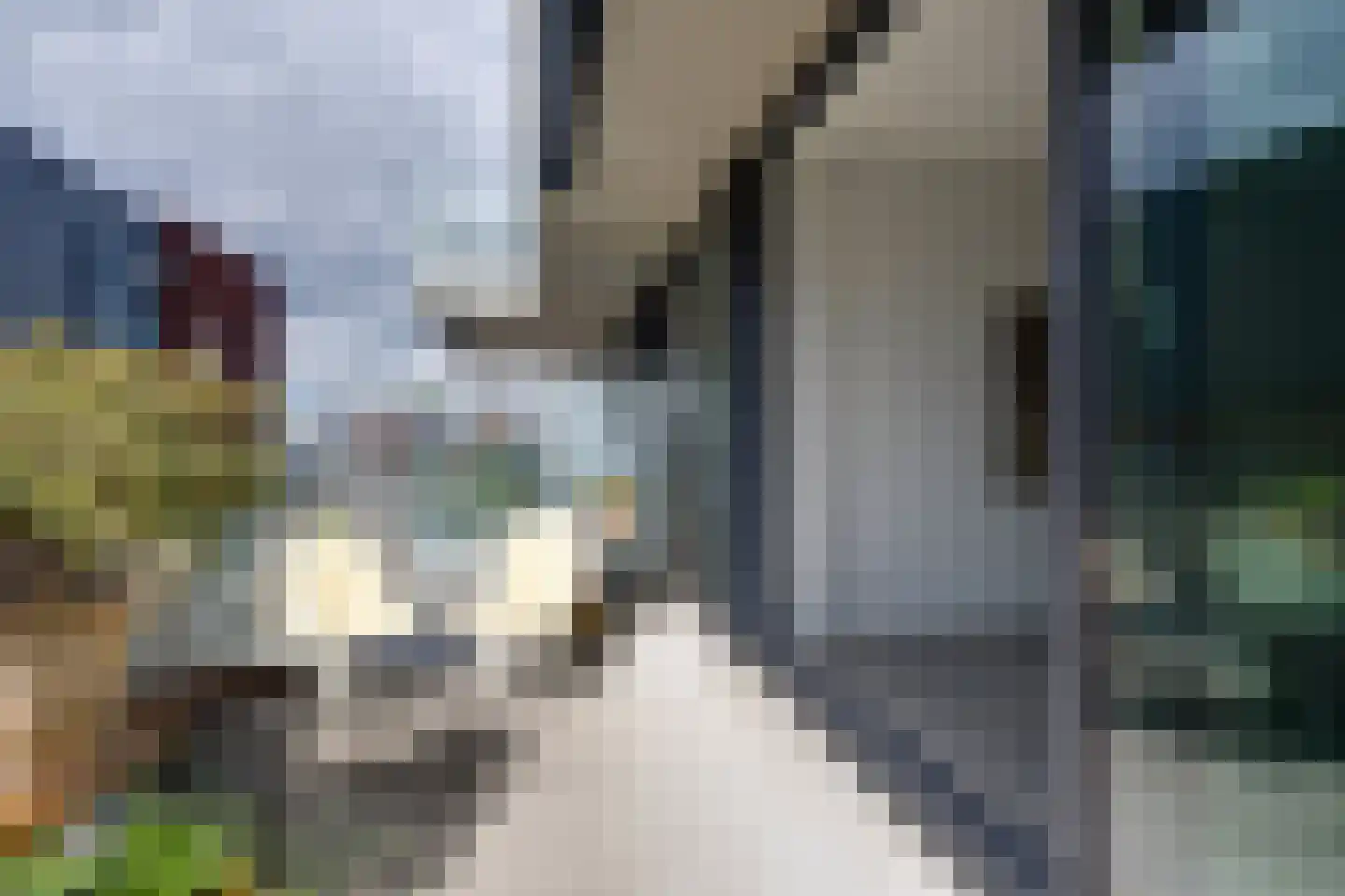 Bilderdijkkade 50 A 8 Amsterdam thumbnail 27