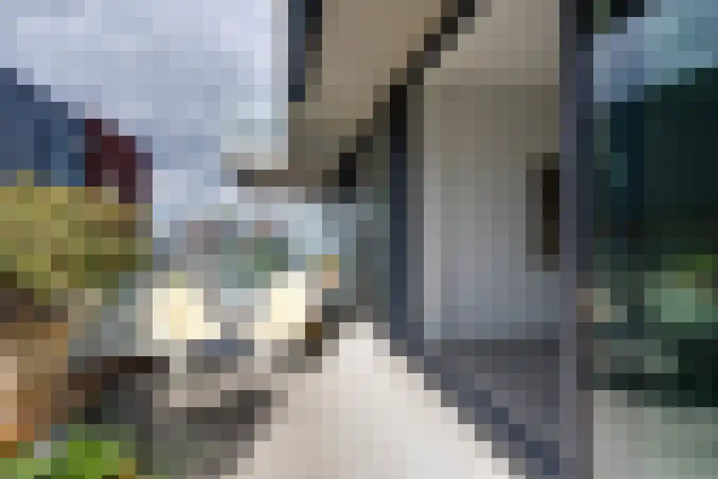 Bilderdijkkade 50 A 8 Amsterdam thumbnail 28