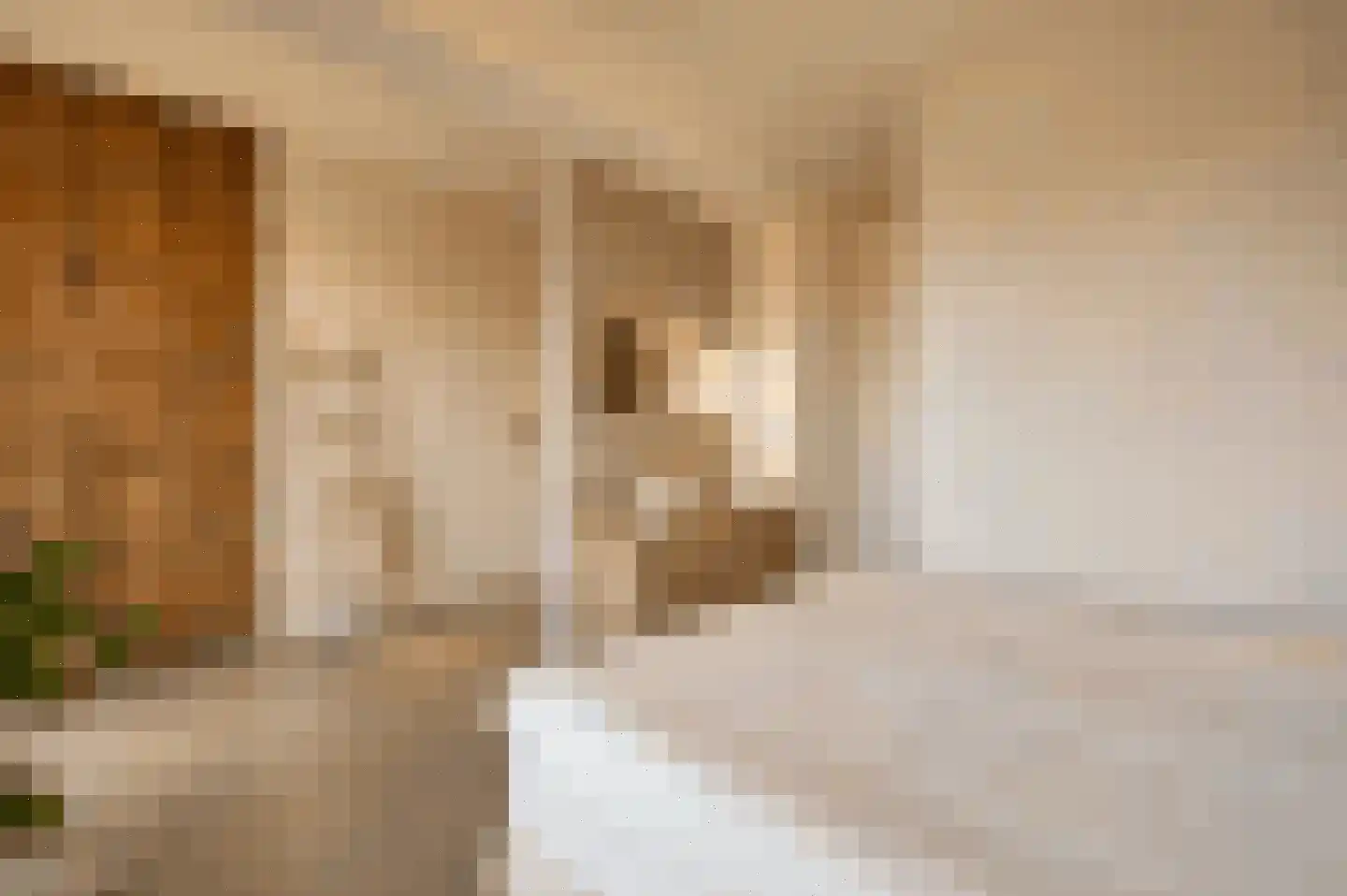 Bilderdijkkade 50 A 8 Amsterdam thumbnail 31