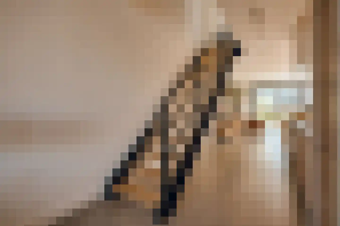 Bilderdijkkade 50 A 8 Amsterdam thumbnail 37