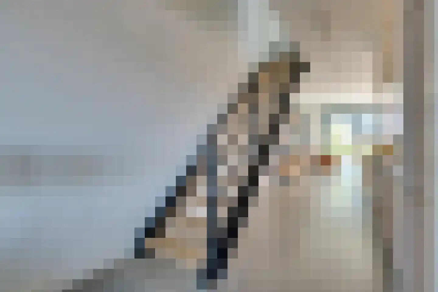 Bilderdijkkade 50 A 8 Amsterdam thumbnail 40