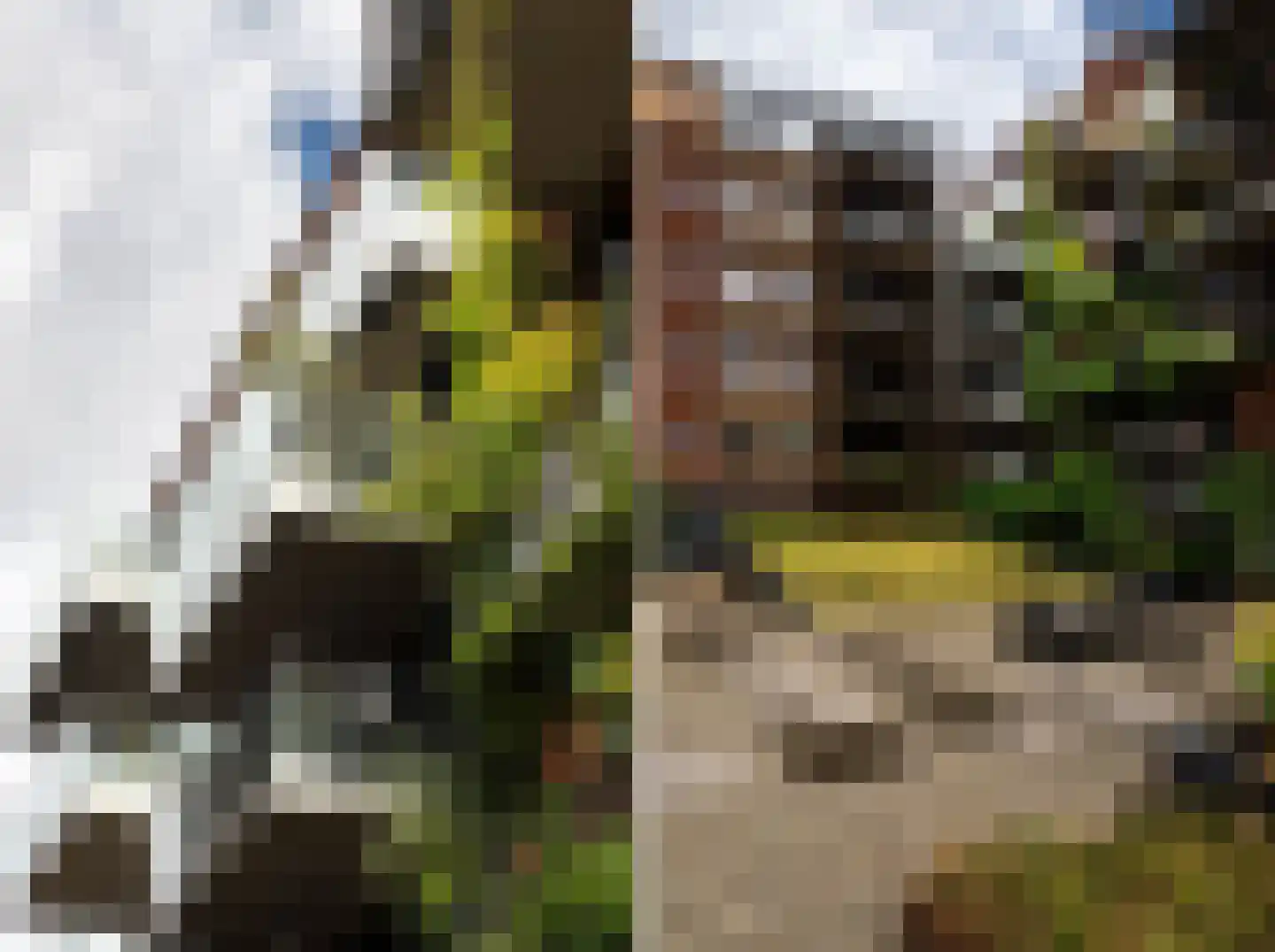 Bilderdijkkade 50 A 8 Amsterdam thumbnail 54