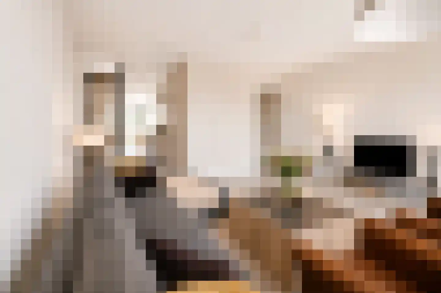 Bilderdijkkade 50 A 8 Amsterdam thumbnail 9