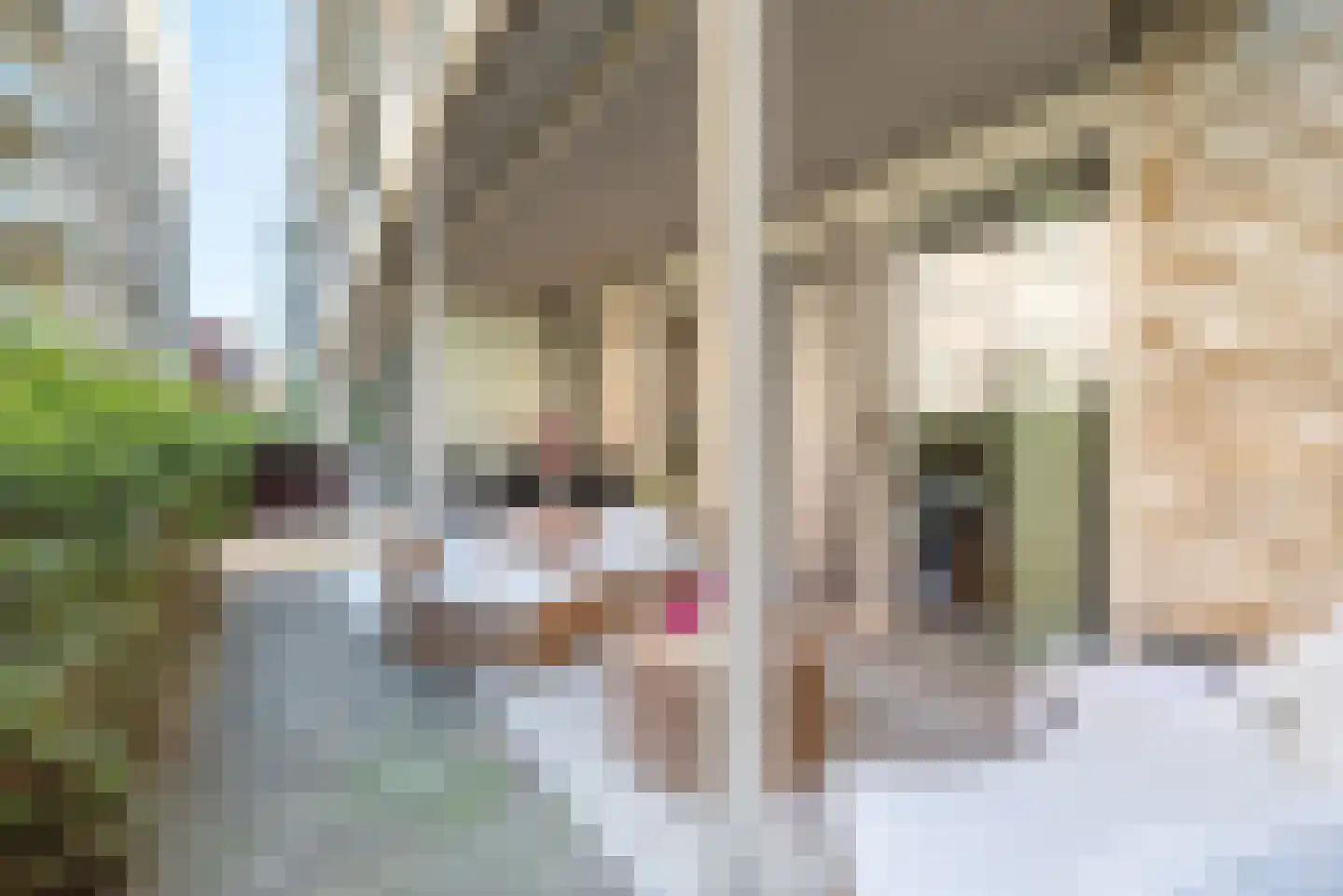 Bilderdijkkade 56 B Amsterdam thumbnail 15
