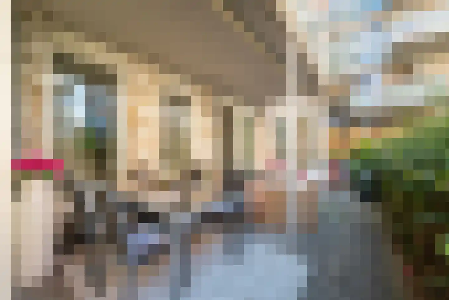 Bilderdijkkade 56 B Amsterdam thumbnail 16