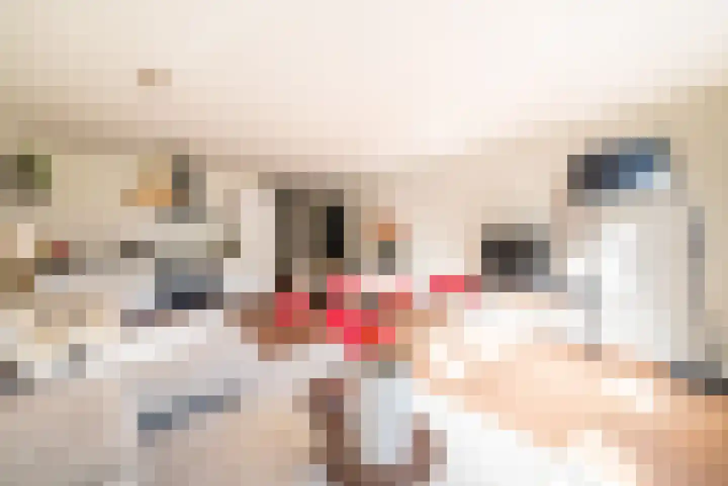 Bilderdijkkade 56 B Amsterdam thumbnail 7