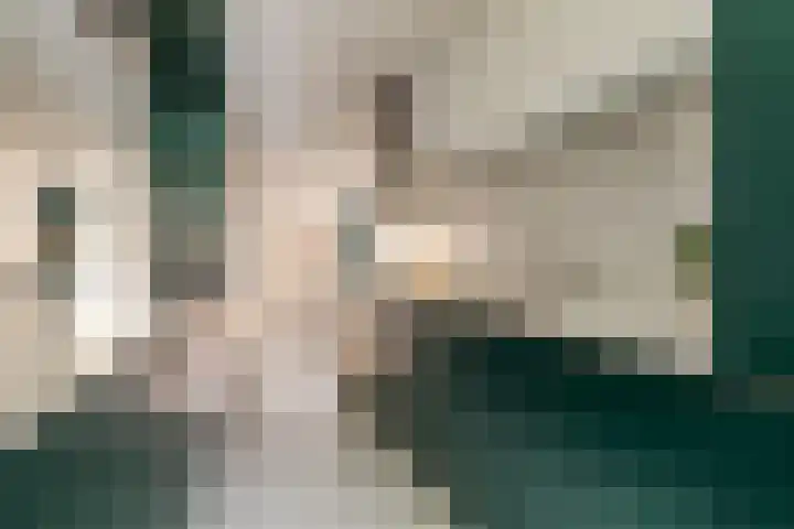 Bilderdijkkade 56 D Amsterdam thumbnail 9