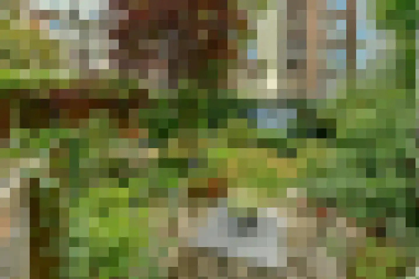 Bilderdijkkade 65 G Amsterdam thumbnail 23