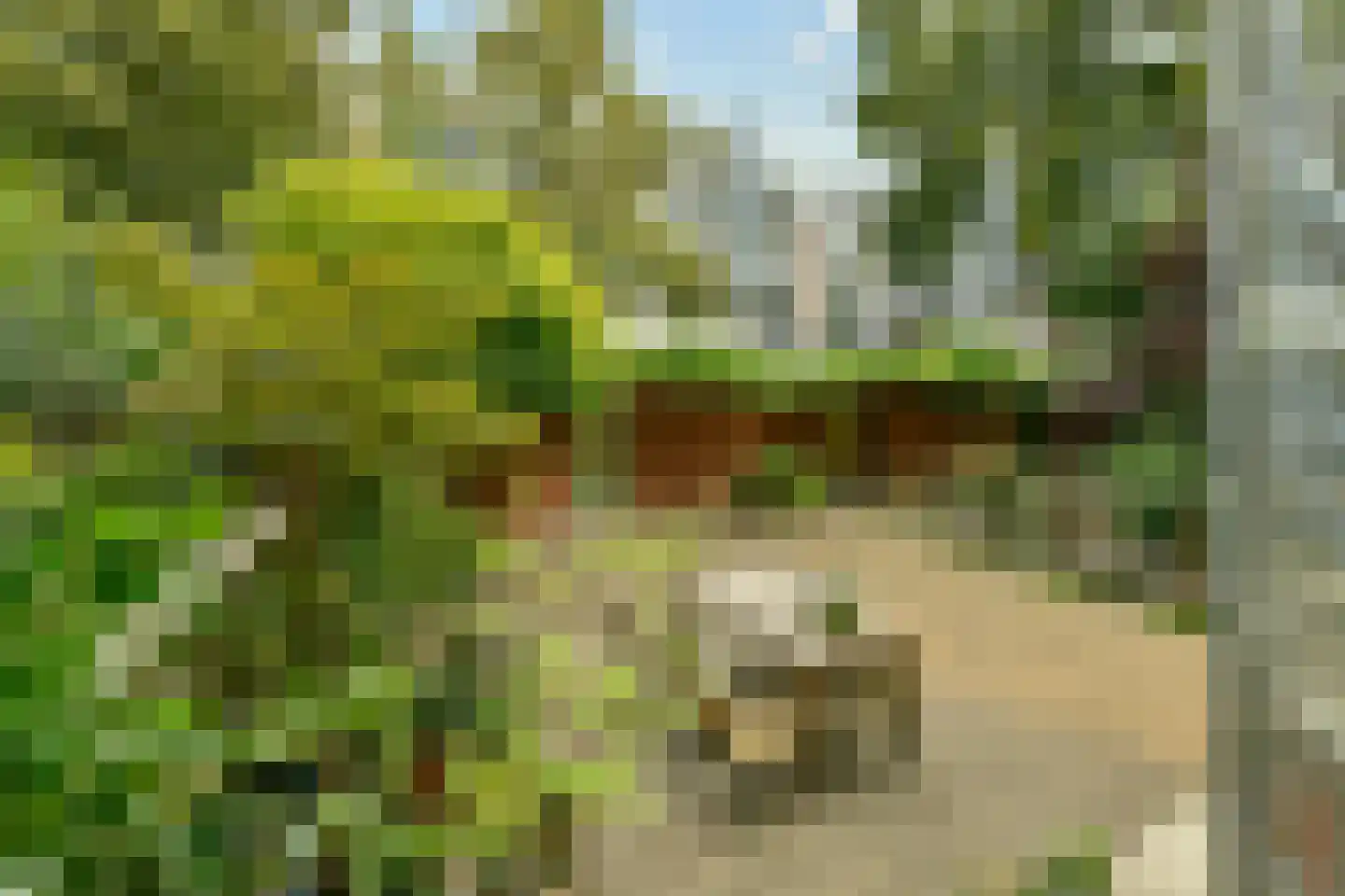 Bilderdijkkade 65 G Amsterdam thumbnail 24
