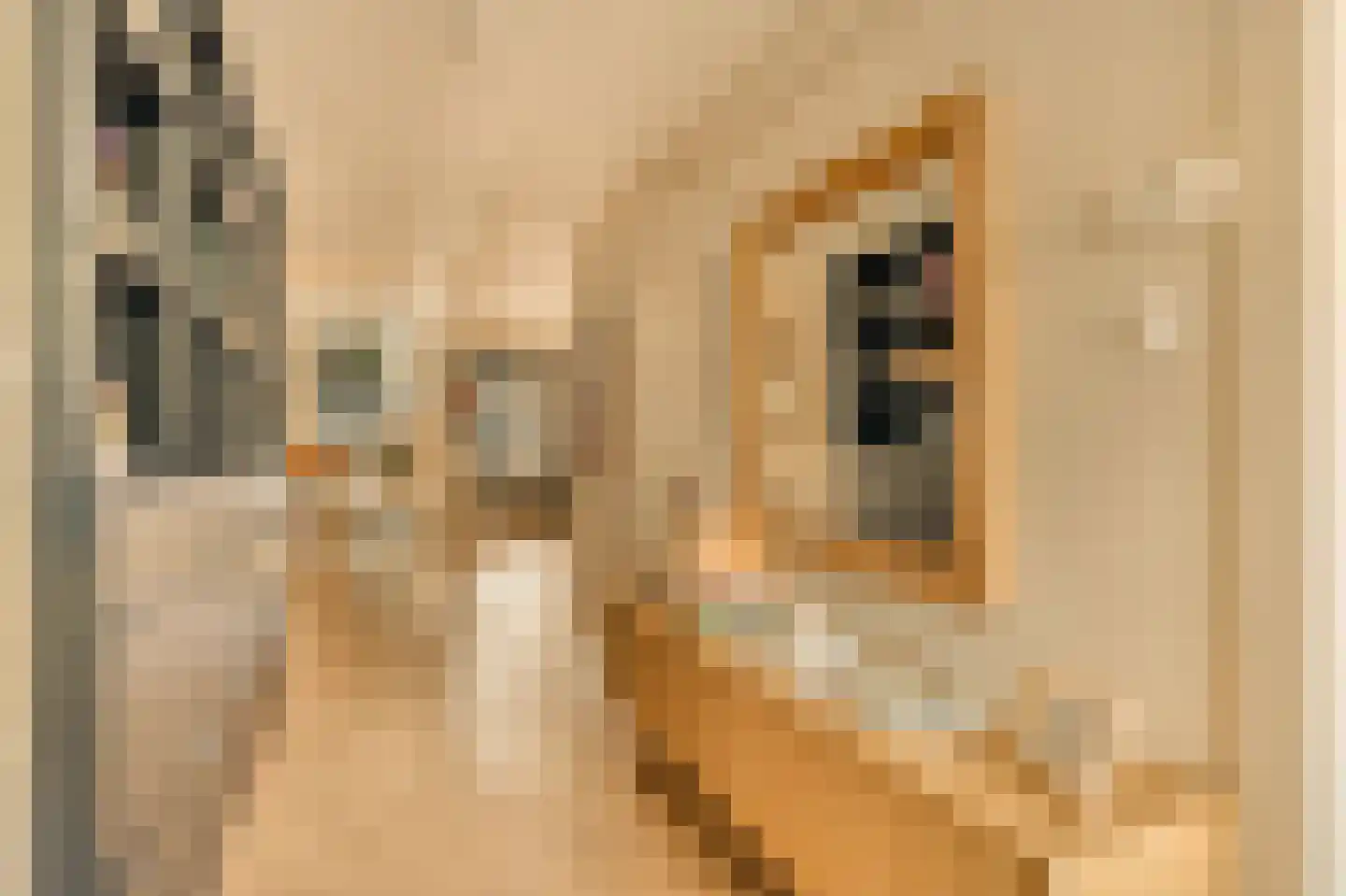 Bilderdijkkade 68 1 Amsterdam thumbnail 14
