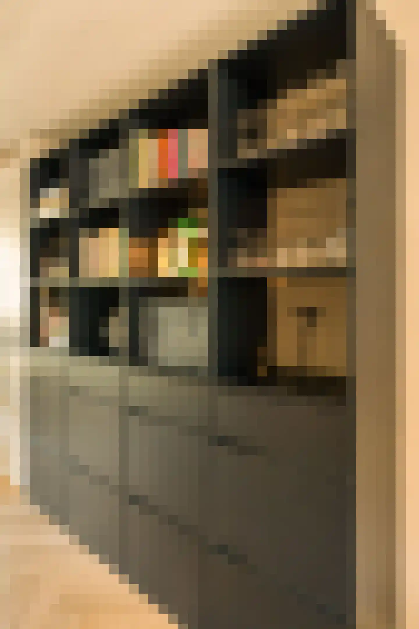 Bilderdijkkade 68 1 Amsterdam thumbnail 22