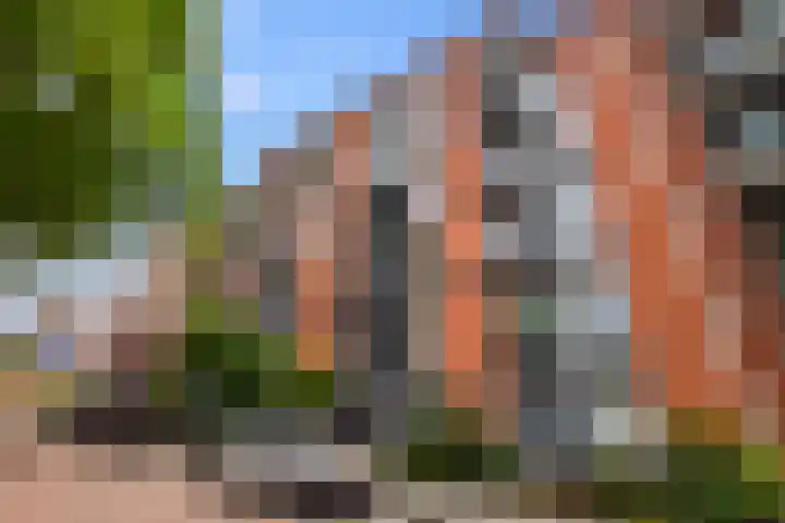 Bilderdijkkade 73 A Amsterdam thumbnail 30