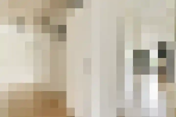 Bilderdijkkade 75 B Amsterdam thumbnail 4