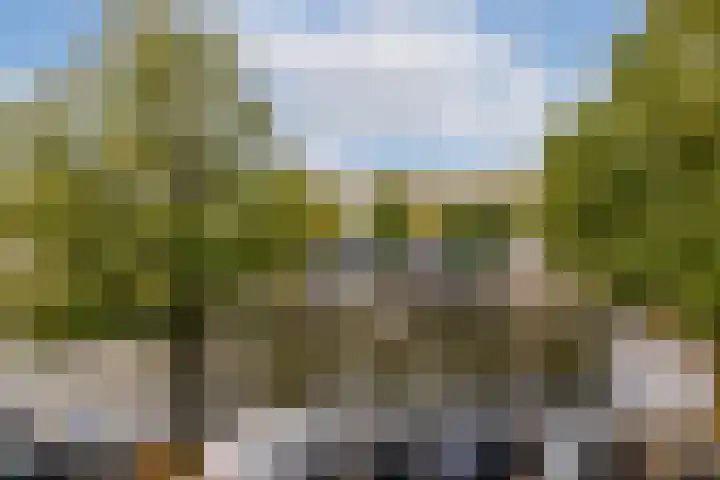 Bilderdijkkade 75 B Amsterdam thumbnail 9