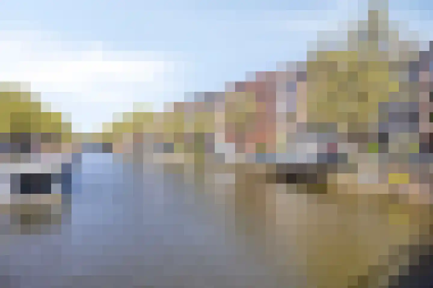 Bilderdijkkade 97 2 Amsterdam thumbnail 28