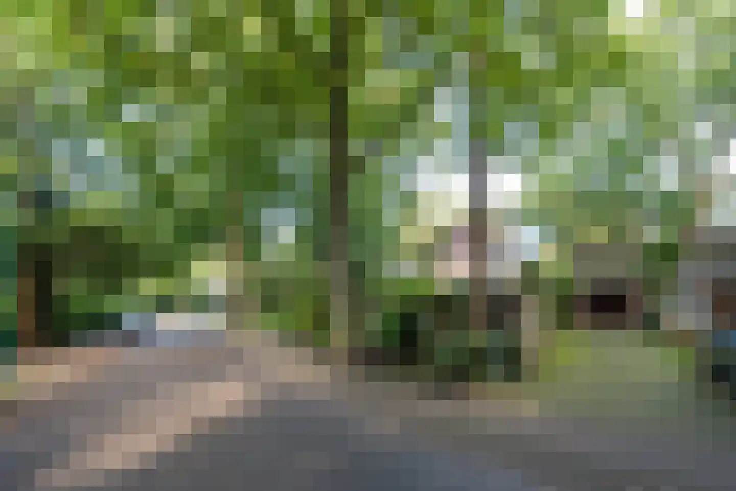 Bilderdijklaan 1 Bilthoven thumbnail 20