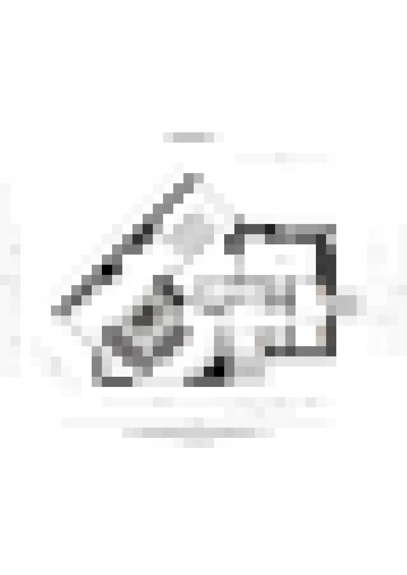 Bilderdijklaan 1 Bilthoven thumbnail 32