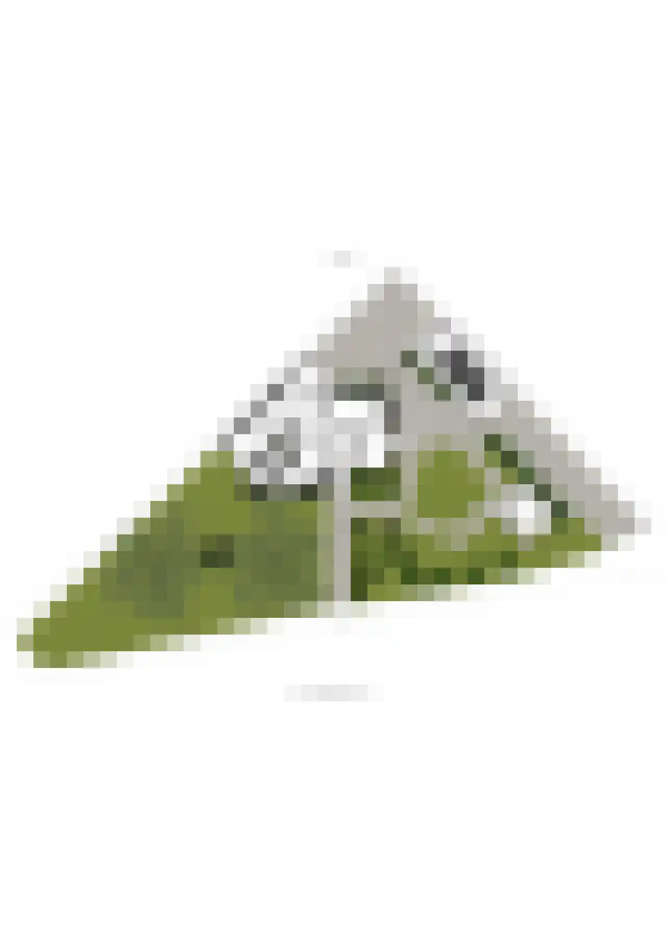 Bilderdijklaan 1 Bilthoven thumbnail 43