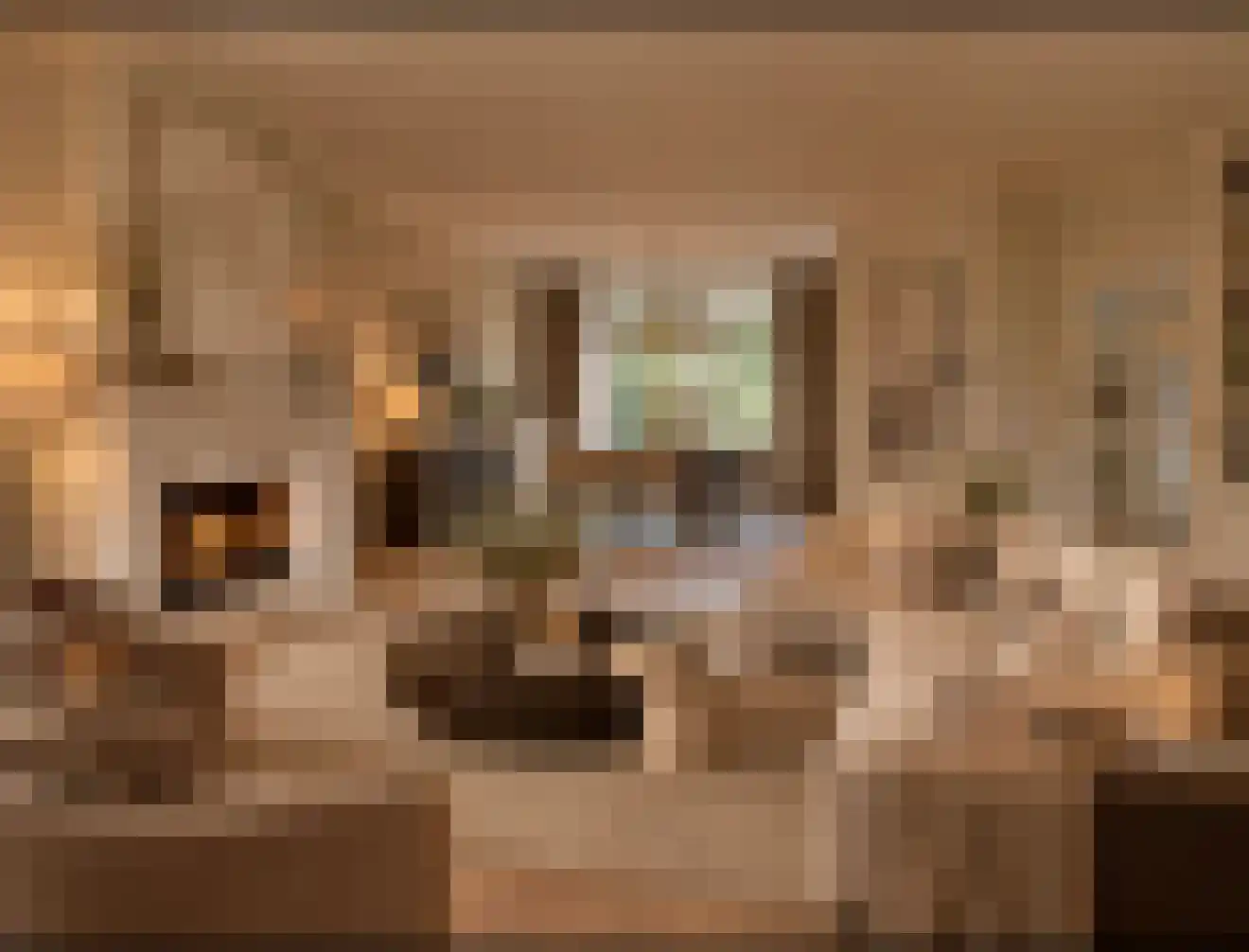Bilderdijklaan 1 Bilthoven thumbnail 7
