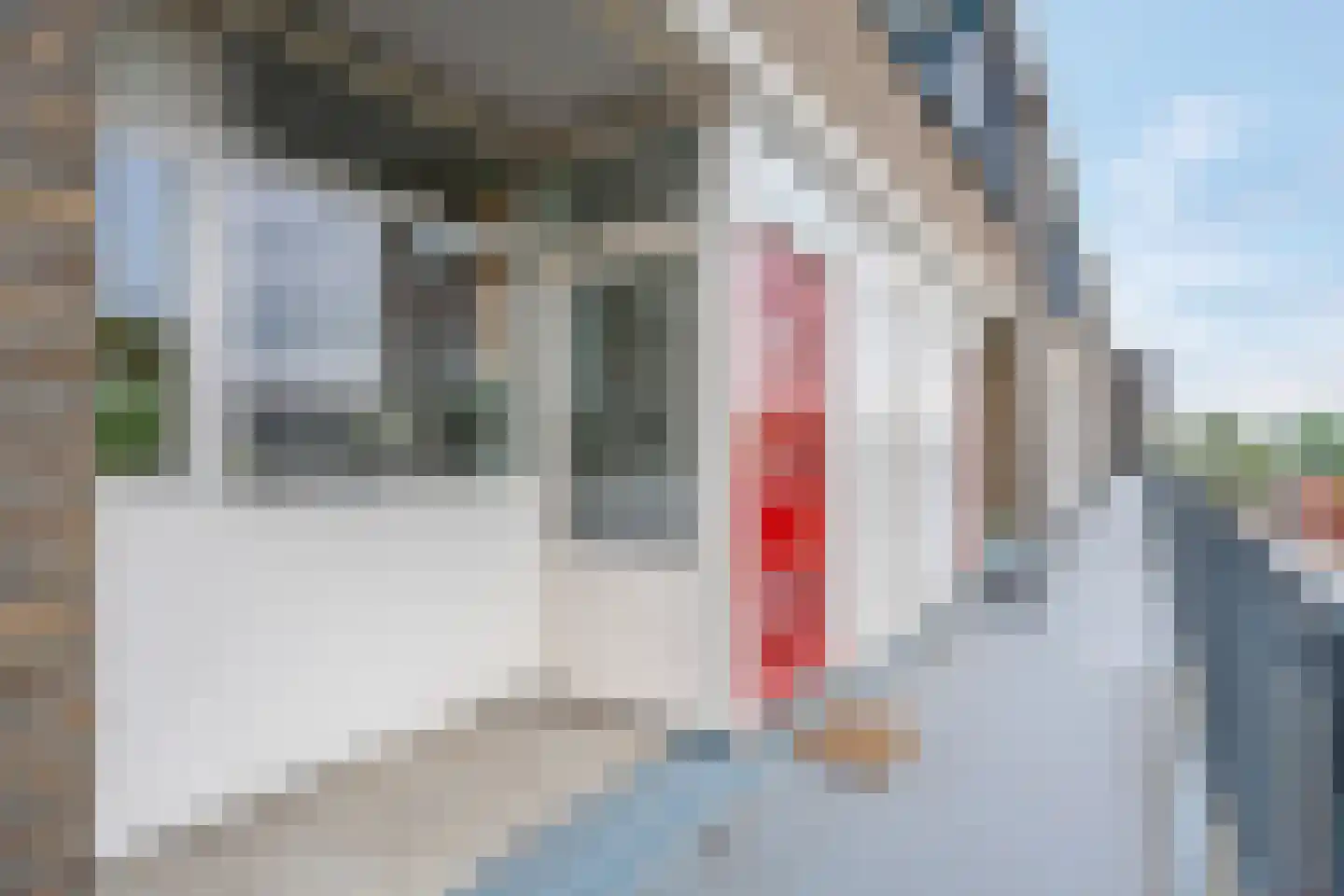 Bilderdijklaan 101 Groningen thumbnail 12