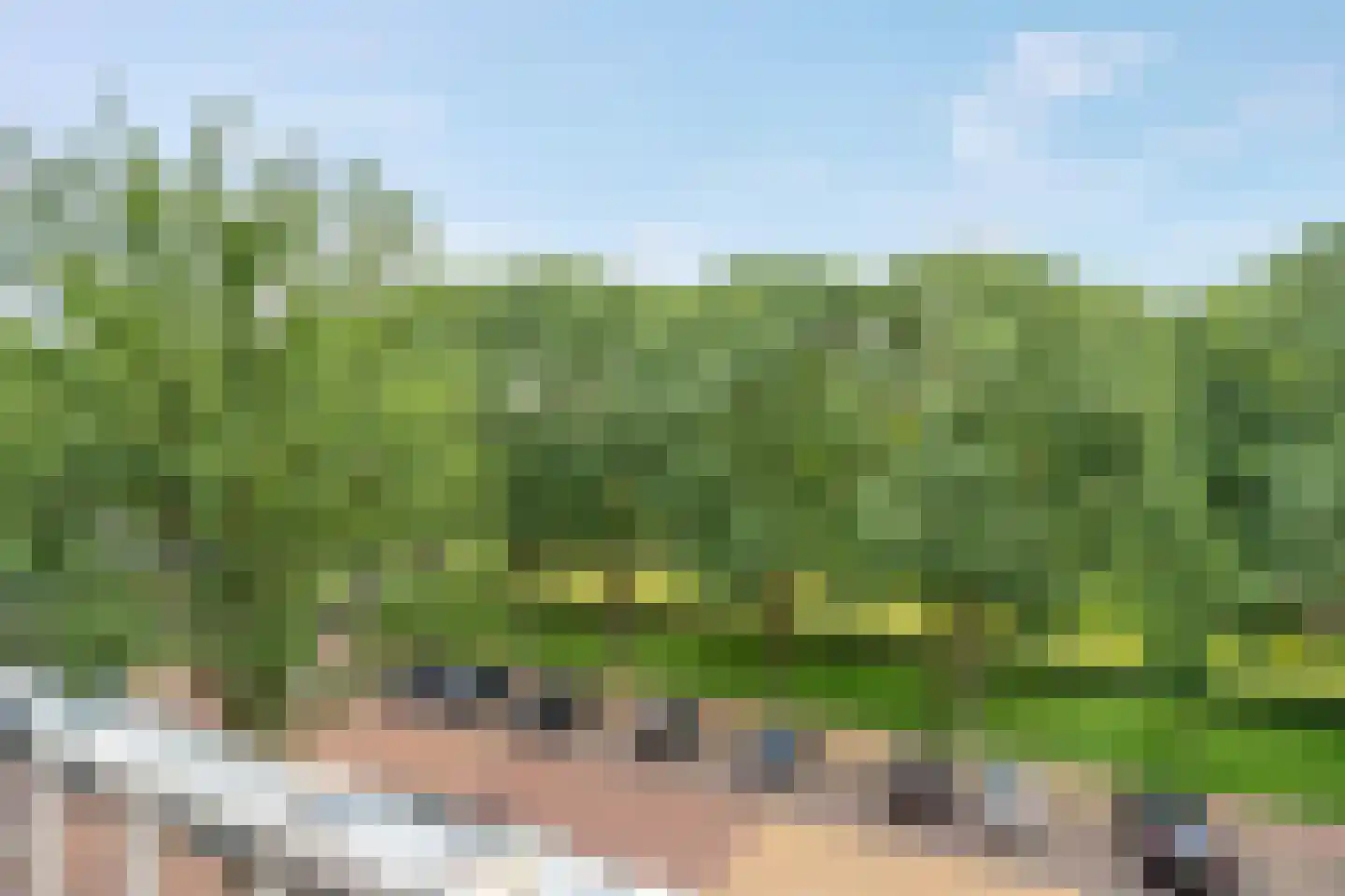 Bilderdijklaan 101 Groningen thumbnail 22