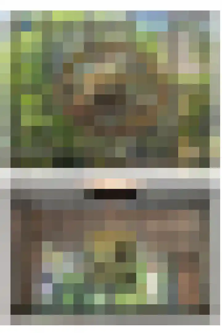 Bilderdijklaan 11 Driehuis NH thumbnail 12