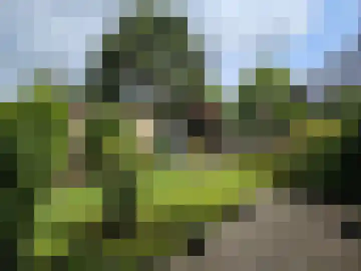 Bilderdijklaan 11 Driehuis NH thumbnail 22
