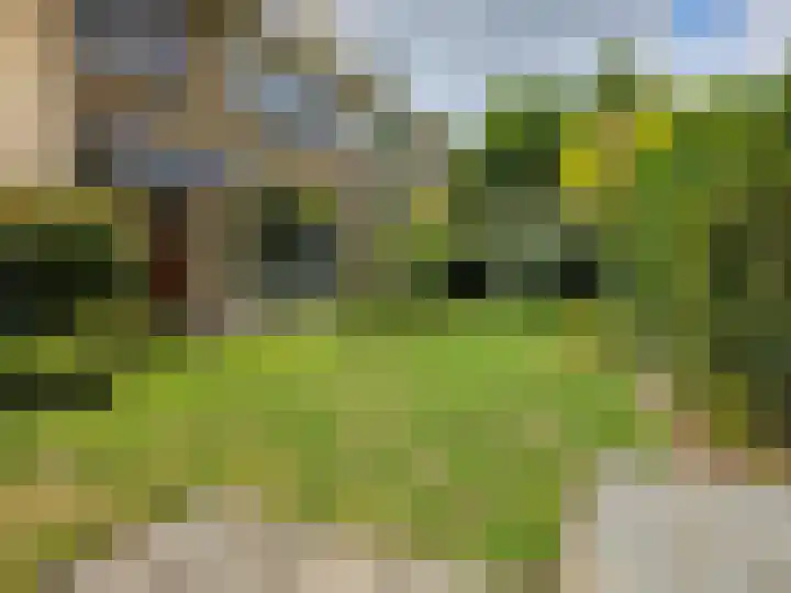 Bilderdijklaan 11 Driehuis NH thumbnail 23