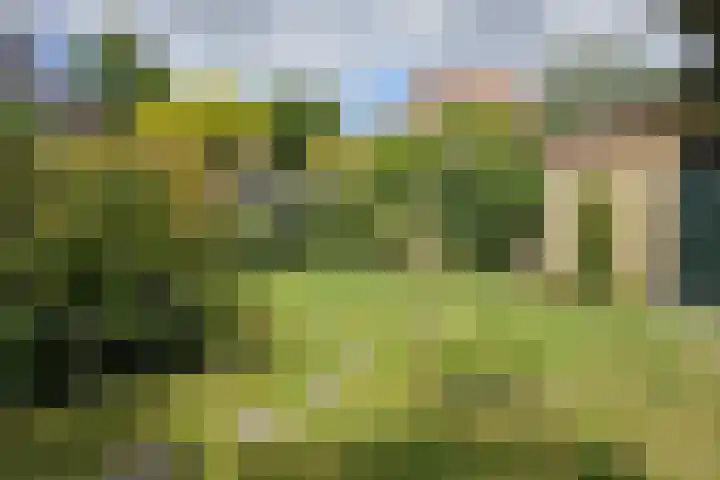 Bilderdijklaan 11 Driehuis NH thumbnail 24