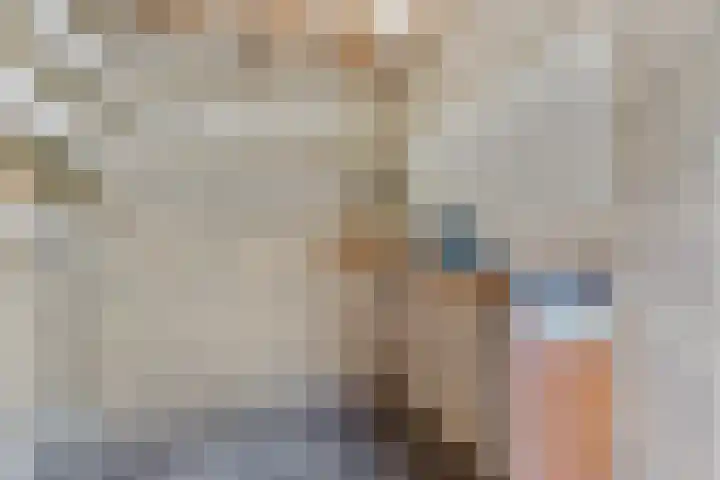 Bilderdijklaan 11 Driehuis NH thumbnail 26