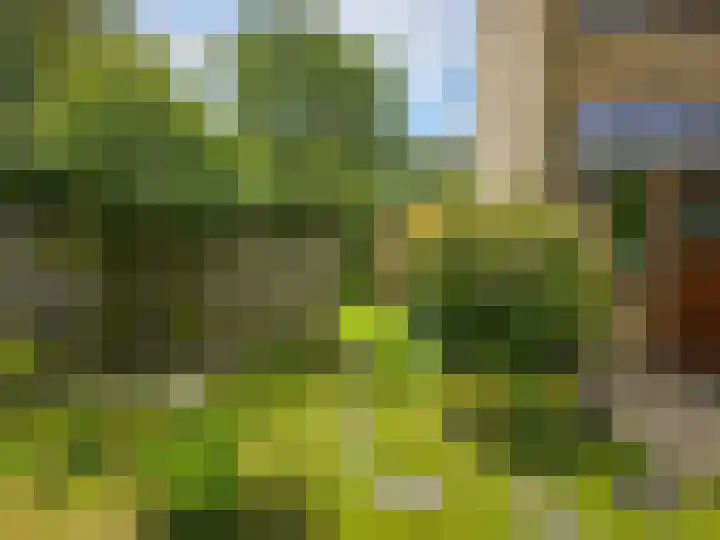 Bilderdijklaan 11 Driehuis NH thumbnail 27