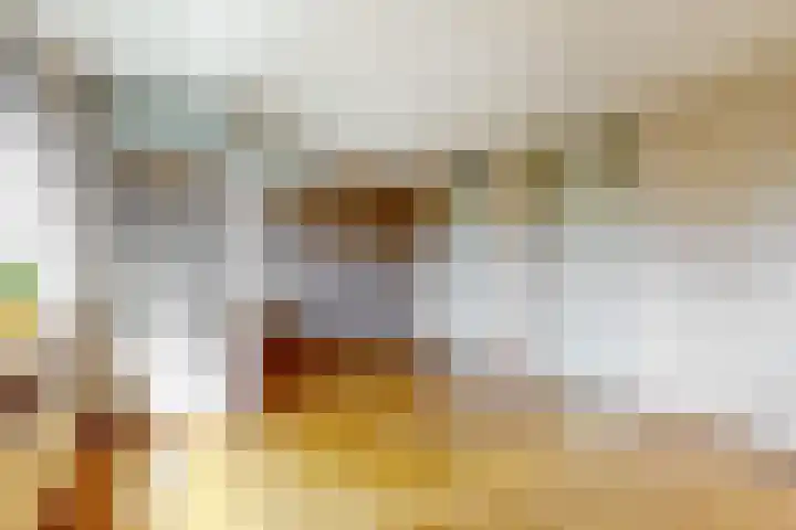 Bilderdijklaan 11 Driehuis NH thumbnail 33