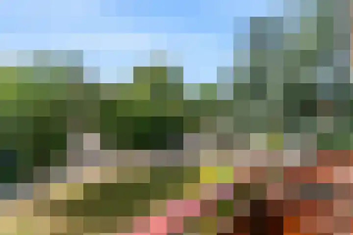 Bilderdijklaan 11 Driehuis NH thumbnail 35