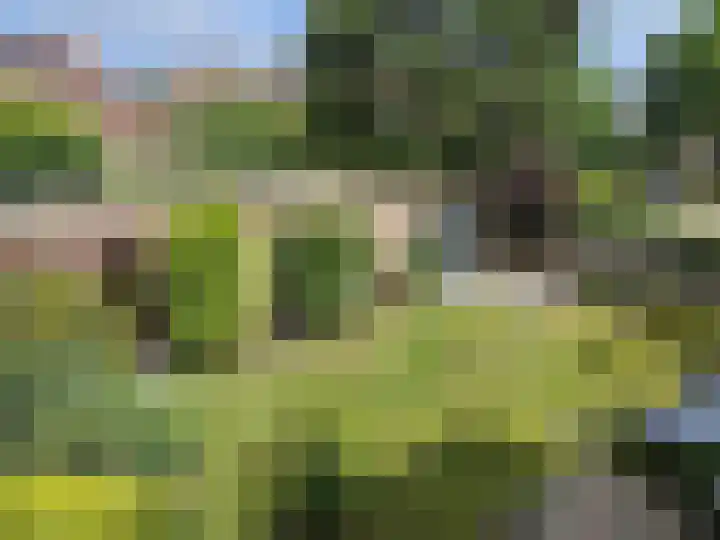 Bilderdijklaan 11 Driehuis NH thumbnail 5