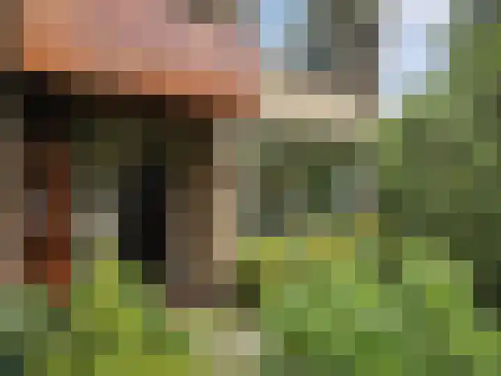 Bilderdijklaan 11 Driehuis NH thumbnail 6