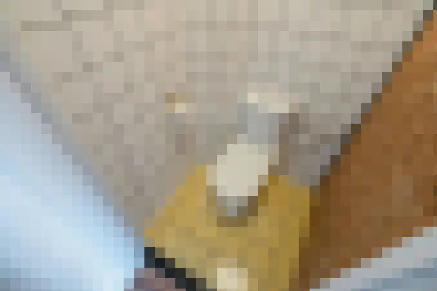 Bilderdijklaan 11 Rijswijk thumbnail 25