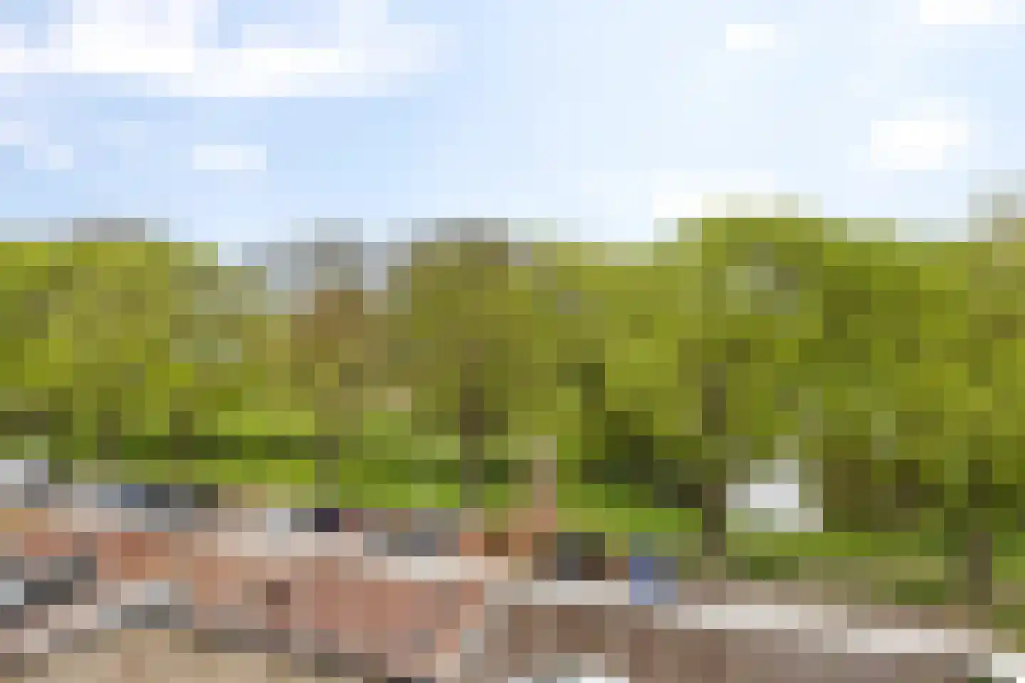 Bilderdijklaan 117 Groningen thumbnail 30