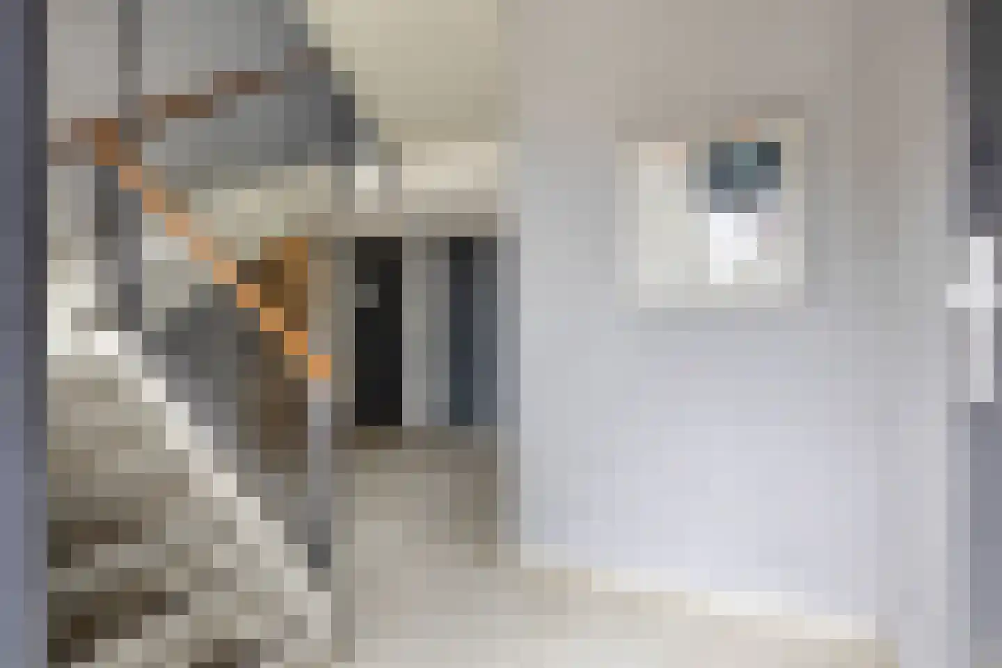 Bilderdijklaan 117 Groningen thumbnail 32