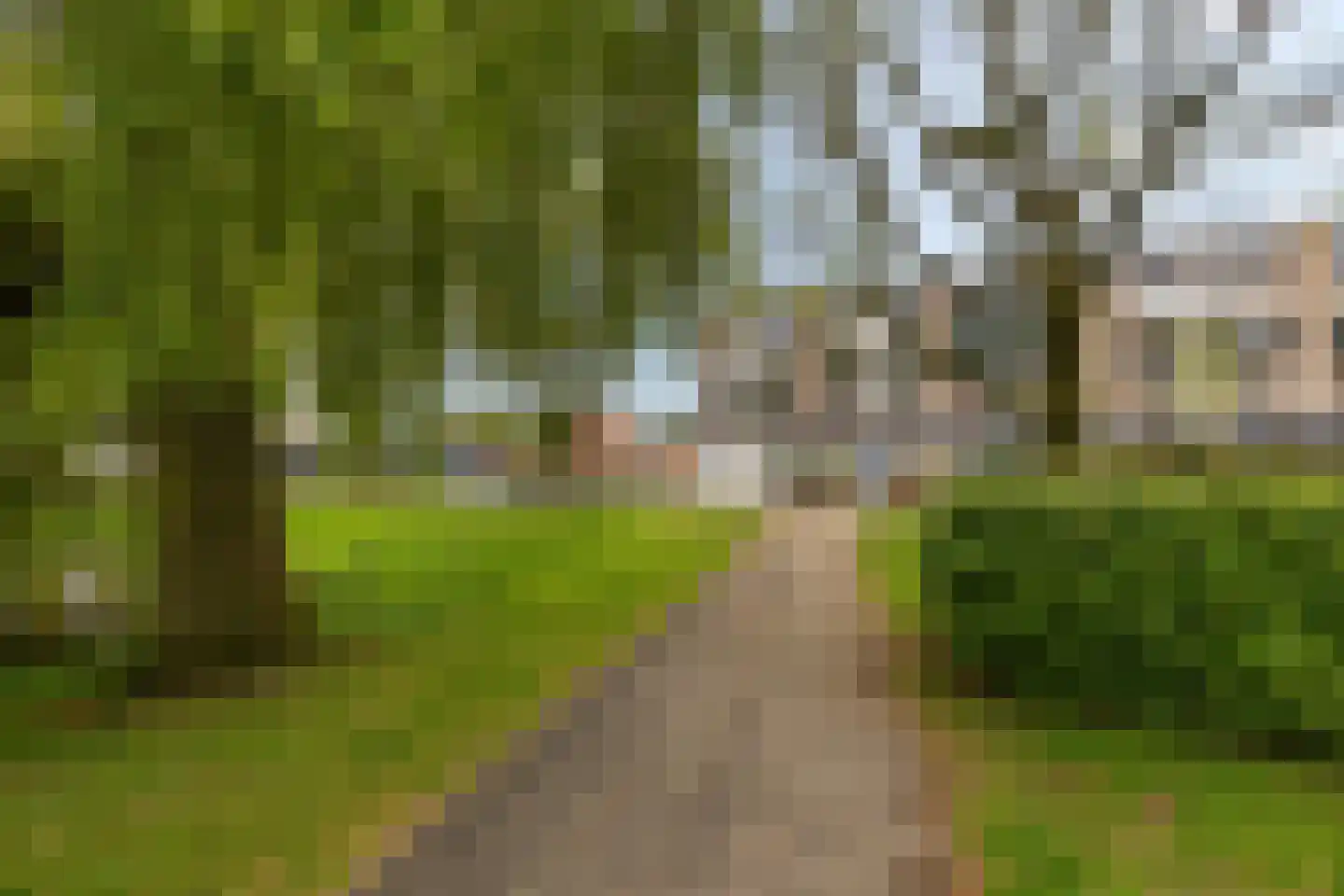 Bilderdijklaan 117 Groningen thumbnail 35