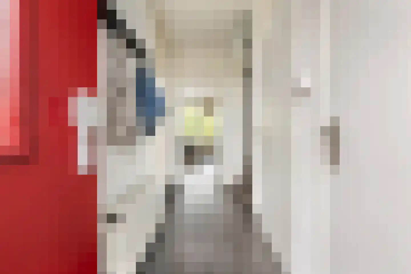 Bilderdijklaan 117 Groningen thumbnail 7