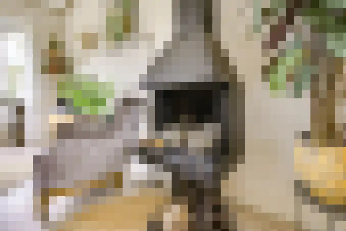 Bilderdijklaan 15 Zeist thumbnail 14