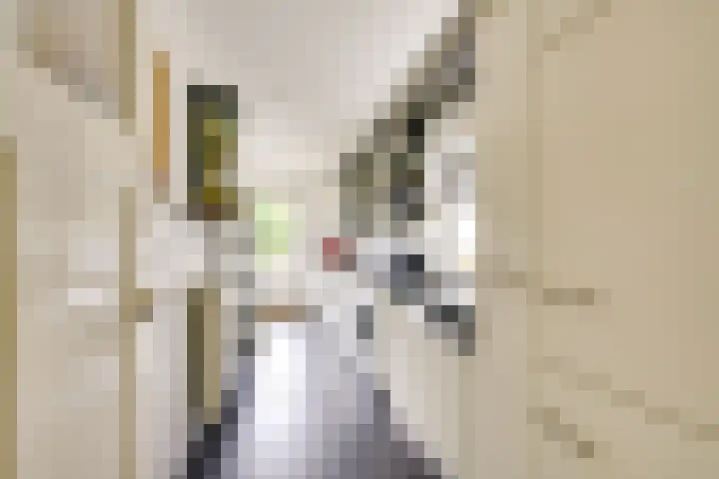 Bilderdijklaan 15 Zeist thumbnail 15