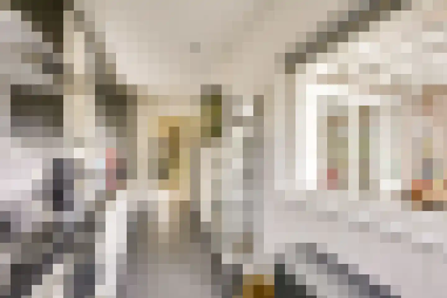Bilderdijklaan 15 Zeist thumbnail 17
