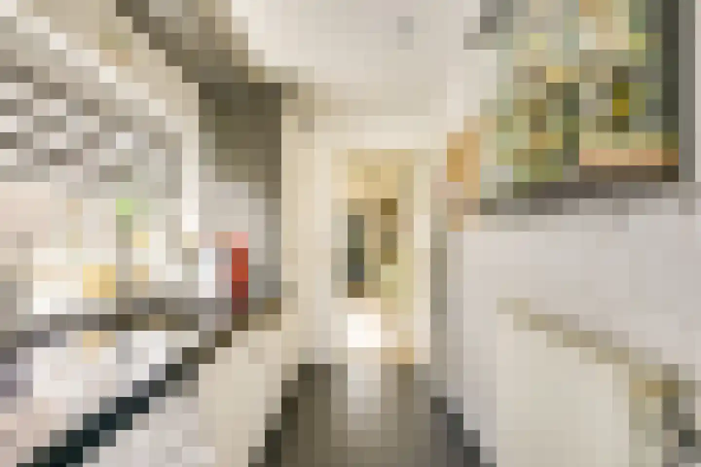Bilderdijklaan 15 Zeist thumbnail 18
