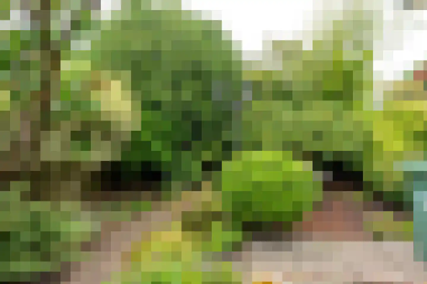 Bilderdijklaan 15 Zeist thumbnail 23