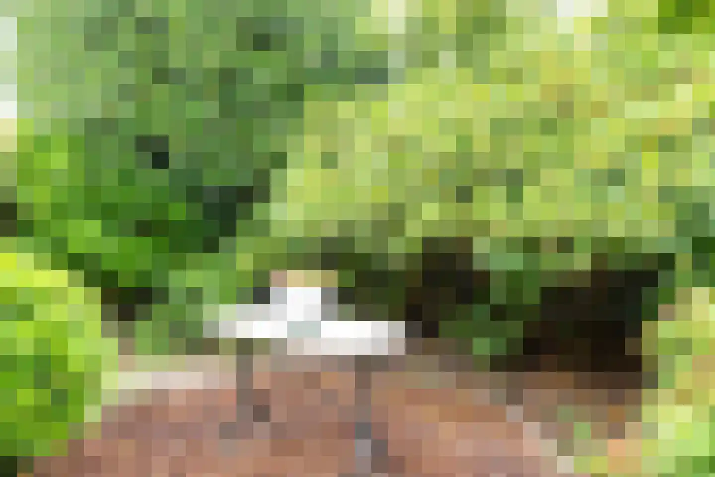 Bilderdijklaan 15 Zeist thumbnail 24